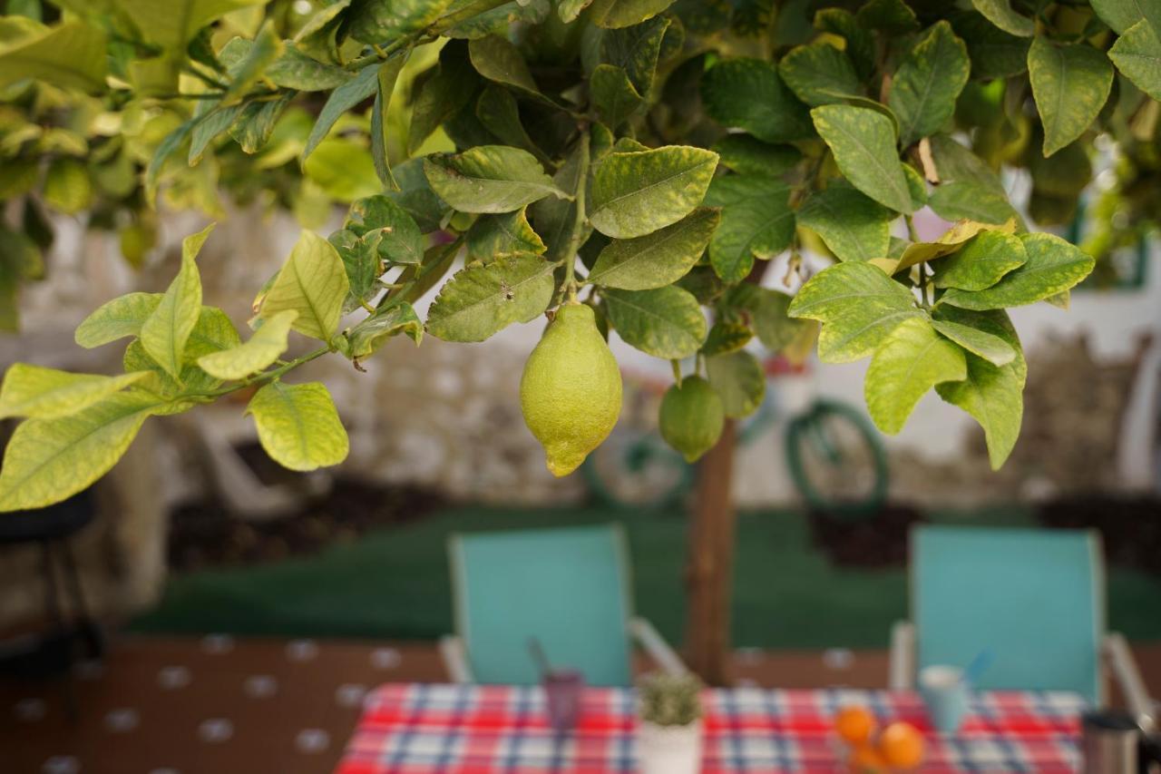 Casa Singular Y Con Encanto Baena Dış mekan fotoğraf